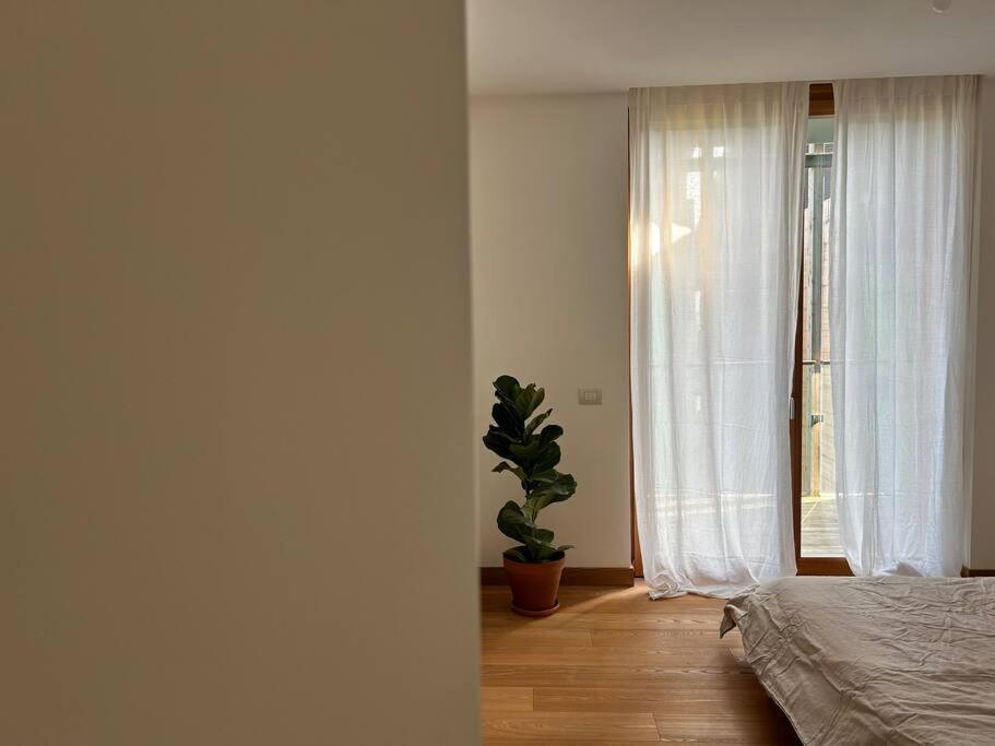Casa Alegria Apartment Trento Exterior photo