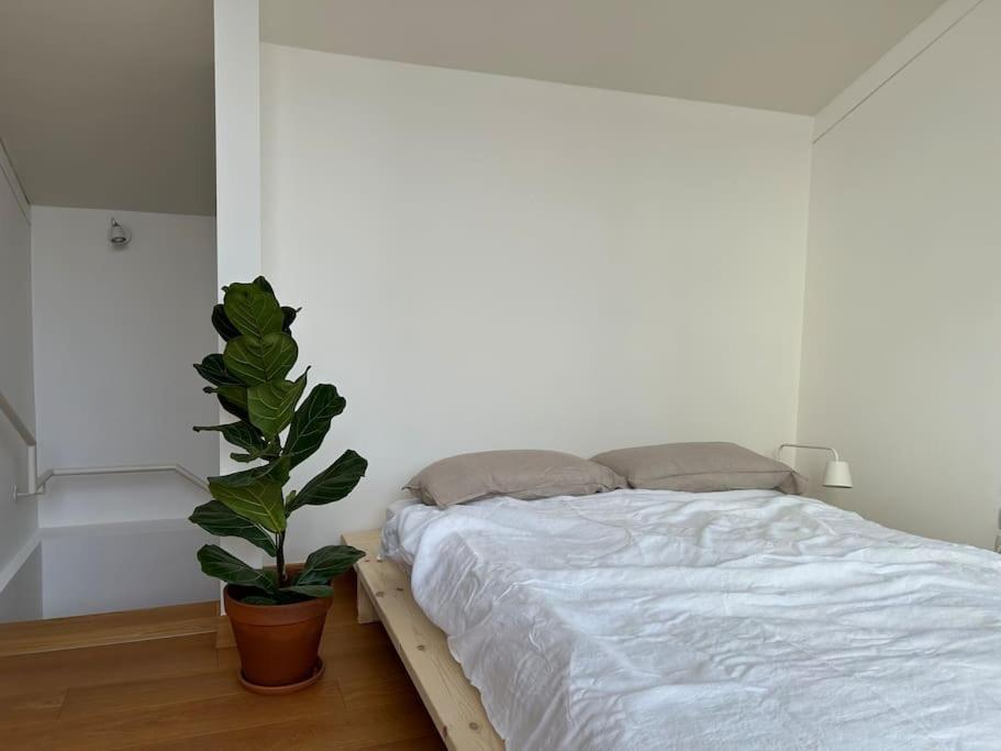 Casa Alegria Apartment Trento Exterior photo